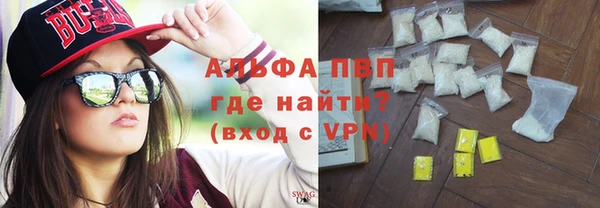 гидра Снежногорск