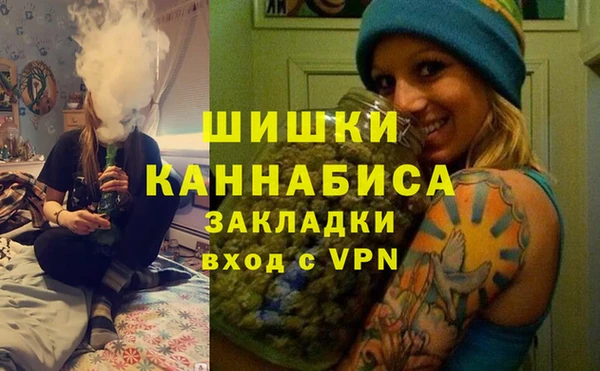 трава Арсеньев