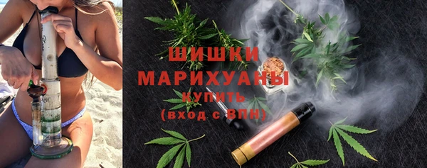 сатива Армянск