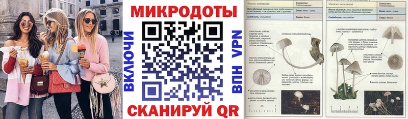 Галлюциногенные грибы Psilocybe  что такое   Усинск 
