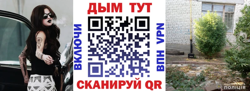 Канабис OG Kush  Усинск 